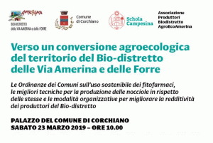 Read more about the article Conversione biologico biodistretto Amerina