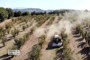 Scopri di più sull'articolo Si è svolto il primo incontro del nuovo coordinamento dell’Alto Lazio “Addio Pesticidi”
